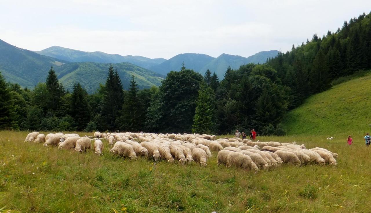 Chata Podolina Terchova Bagian luar foto