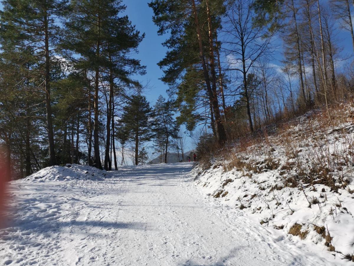 Chata Podolina Terchova Bagian luar foto