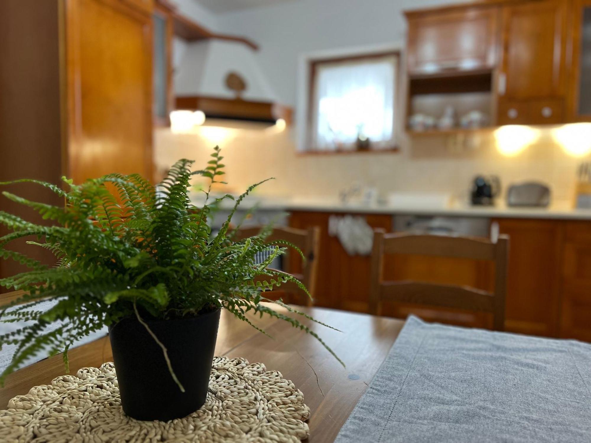 Chata Podolina Terchova Bagian luar foto